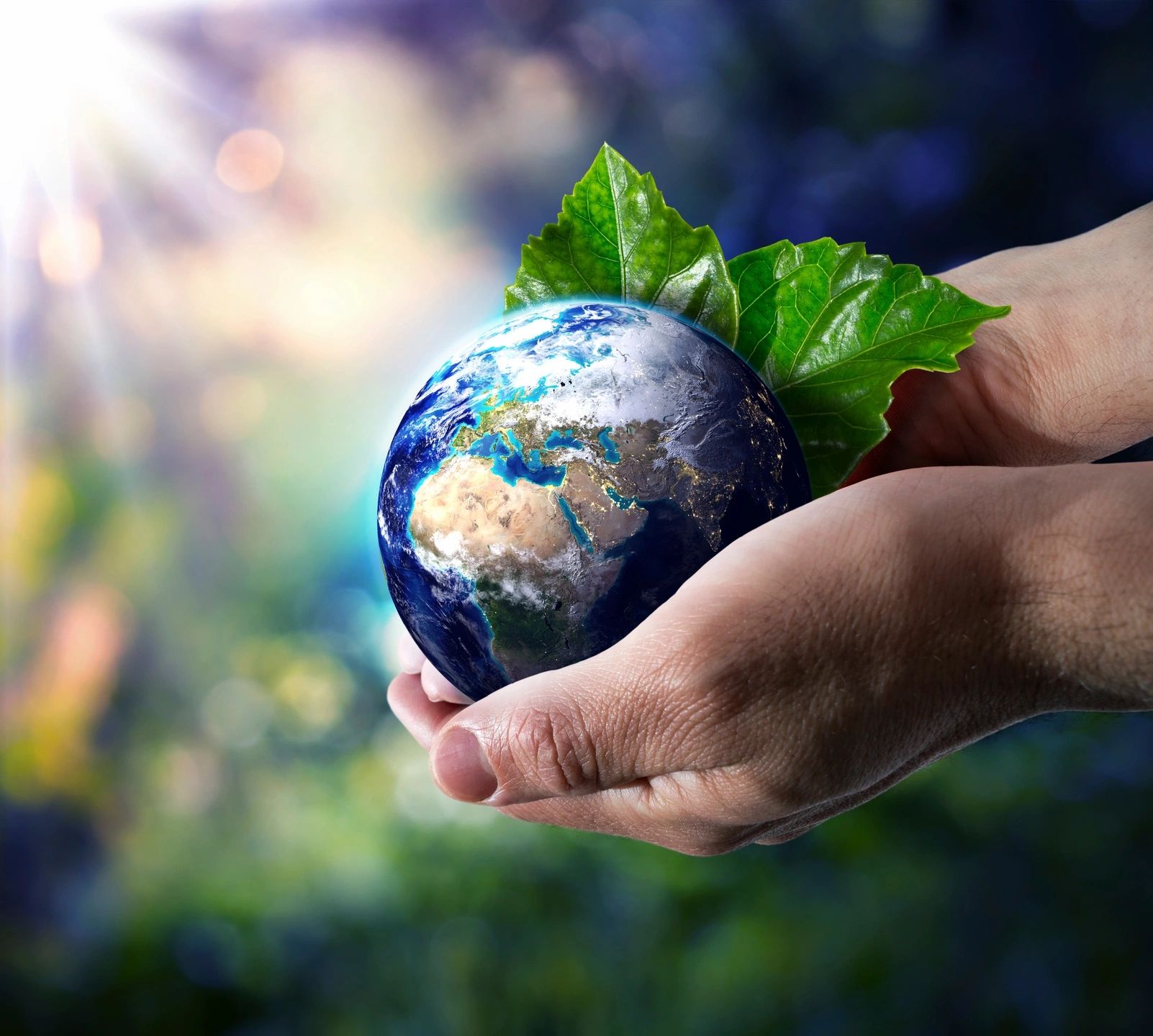 Hands gently holding a small Earth with green leaves symbolizing care for the planet.