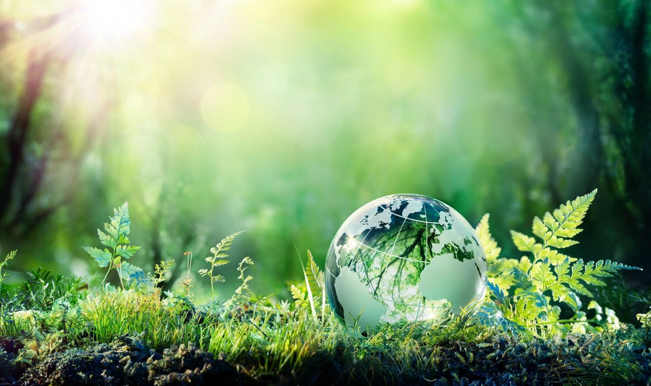 A glass globe on green grass symbolizing environmental care.